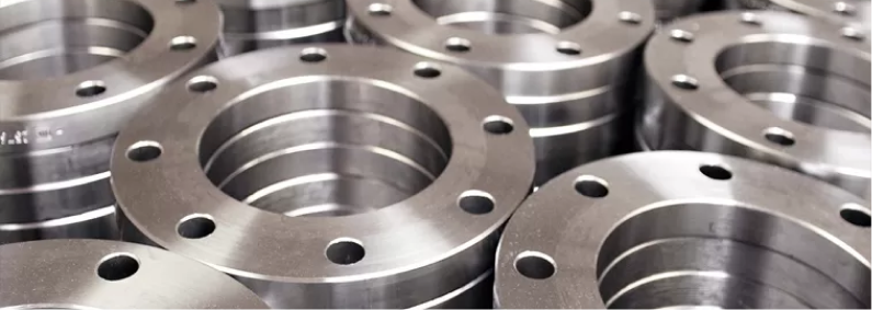 Stainless Steel Flanges by Riyaarth Overseas in Mumbai